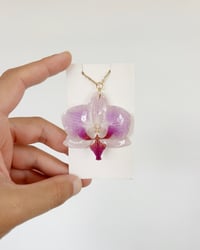 Image 1 of Orquídeas | collares