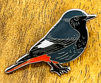 Image 2 of Black Redstart - No.167 - UK Birding Pins