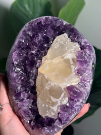 Image 4 of SUGAR COATED CALCITE IN AMETHYST ON STAND -URUGUAY-