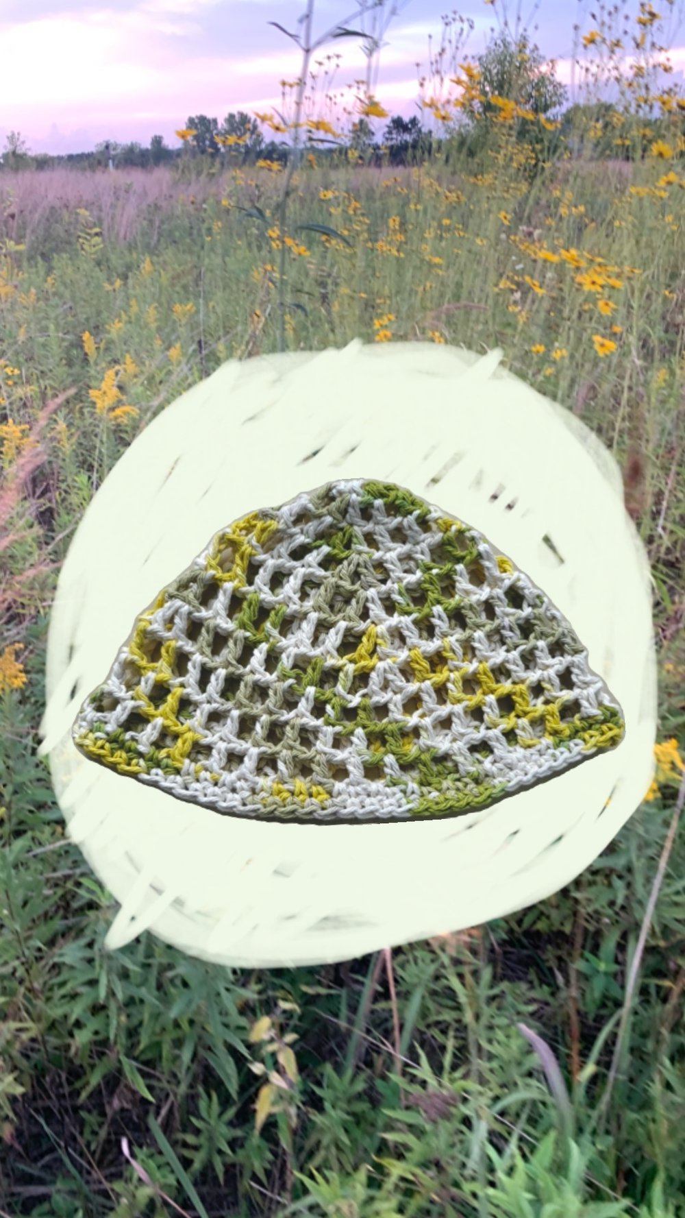 Image of Summer Fields Skullcap