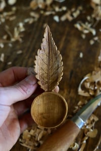 Image 6 of Cherry Leaf Scoop