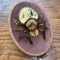 Image 3 of Specimen spider (b,  4x5 inches)