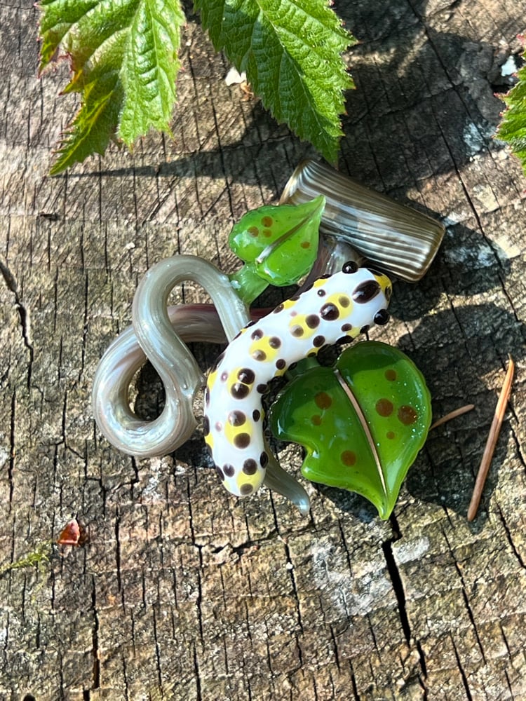 Image of Caterpillar Lunch Colab with Shelley Sunshine!