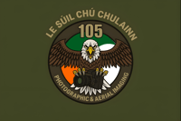 105 Squadron Air Corp Flag