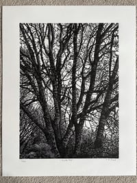 Image 1 of ‘Winter Ash’ Original Lino Print