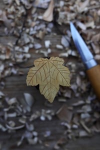 Image 3 of Sycamore leaf 