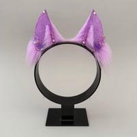 Image 1 of Lilac Blossom Fox 