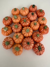 Image 1 of Pwmpenni bach / Tiny pumpkins 