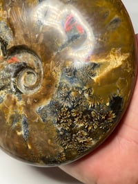 Image 13 of Large Purple Iridescent Ammonite Fossil #2443