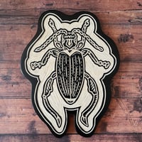 Image 1 of Reed Beetle 