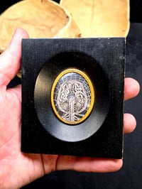 Image 2 of ANTIQUE ANATOMICAL COLLECTION - Preserved web- BRAIN