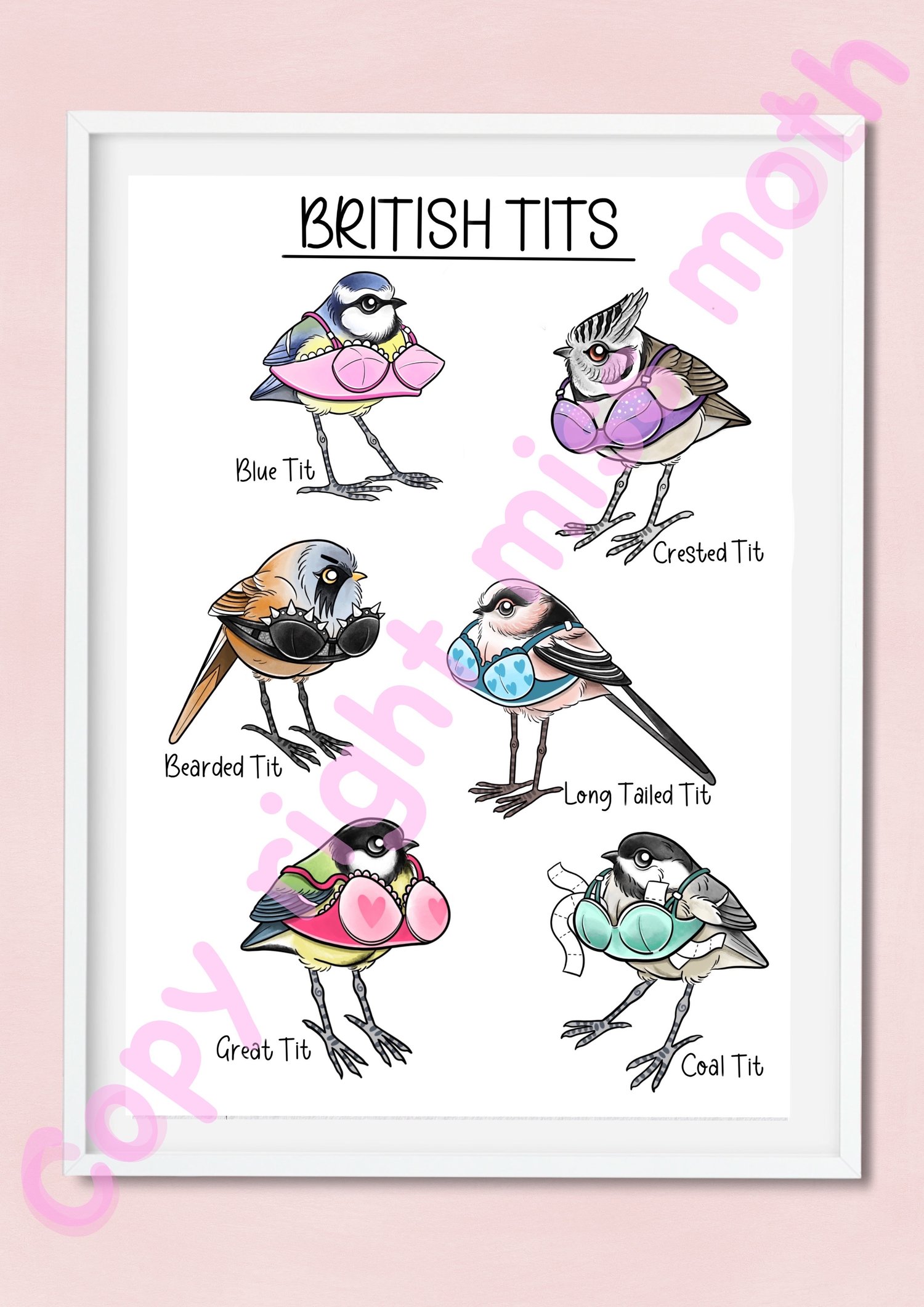 A4 or A3 British tits in bras print 