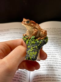 Image 2 of Toad Page Holder