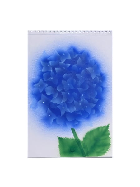 Image of Hortensia - 1 inflorescence (2)