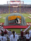 Florida State Seminoles (wool)