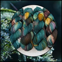 Image 1 of Autumn Spruce