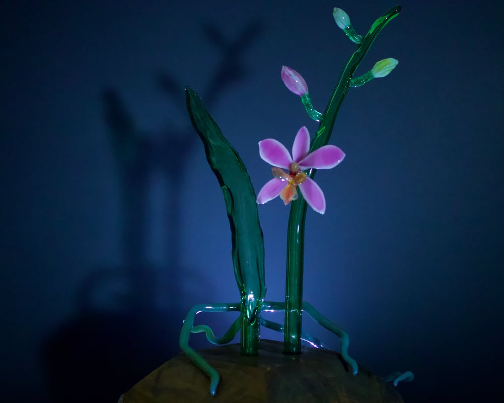 Orchid Sculpture