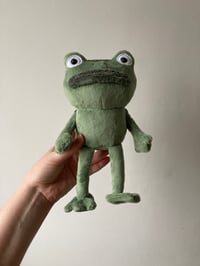 Image 1 of Small - Frog Of Many Names Plushie - OTGW - made to order