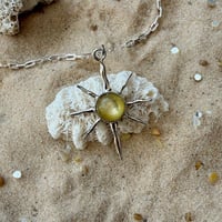 Image 3 of Sunburst 