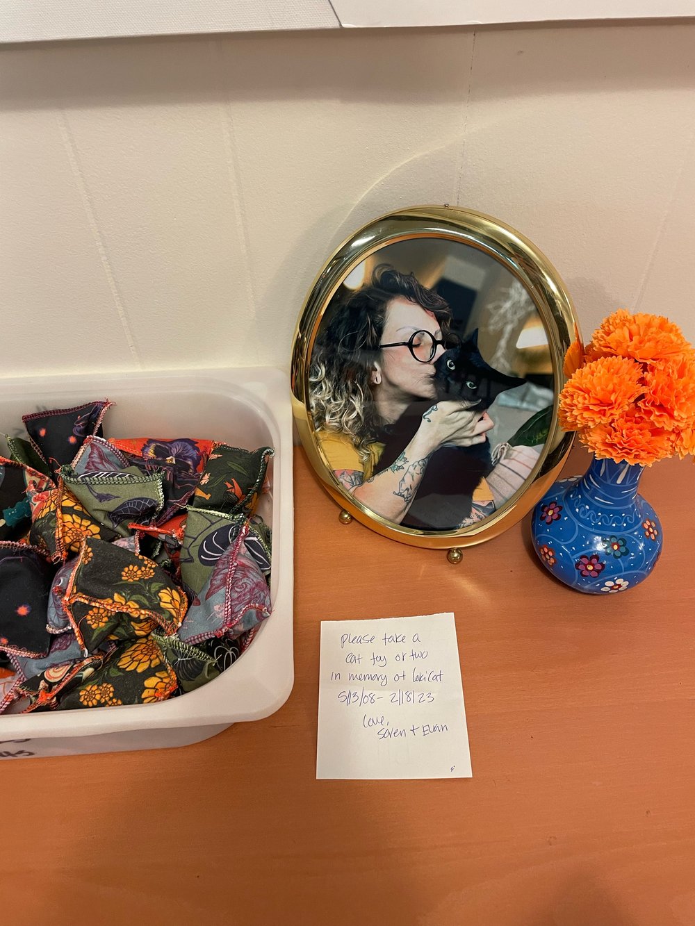 Image of Mystery Cat toy