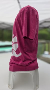 Image 2 of Butterfly Daisy