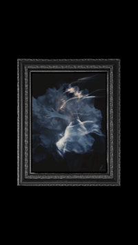 Image 1 of WE CARRY LOVE IN THE CHAOS