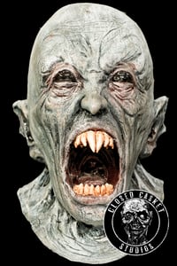 Count Bite
