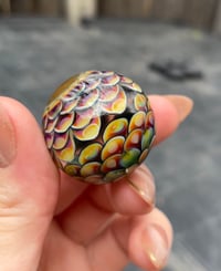 Image 1 of Rainbow roller 