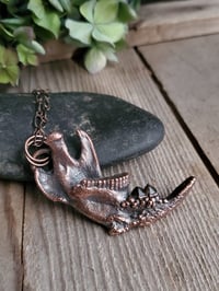 Image 1 of Muskrat Jawbone with Smoky Quartz