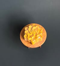 Image 5 of Turmeric & Carrot - Bar Soap 
