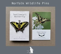 Image 1 of Swallowtail Butterfly - #2 - Norfolk Wildlife Series - SB Photography 