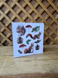 Image 1 of Red Squirrel Greetings Card 