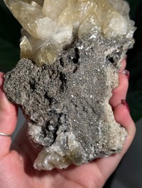 Image 3 of XXL SWEETWATER CALCITE WITH PYRITE -MISSOURI- PORCUPINE POCKET 2025 C
