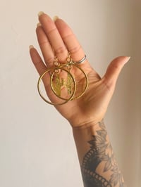 Image 2 of Catus hoops