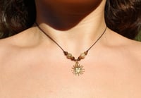 Image 1 of Dainty Sun