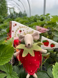 Image 3 of Strawberry Season