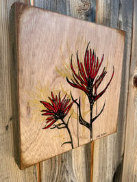 Image 2 of Desert Paintbrush  on panel