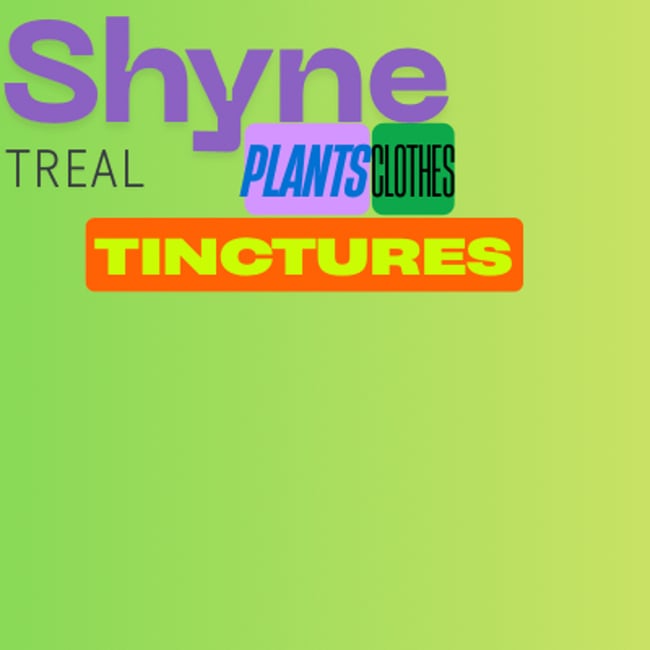 Mother of A Thousand Succulent Plant