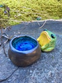 Frog Friend Tea Pet 