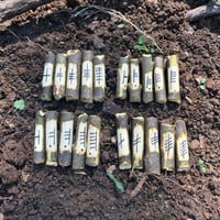 Image 3 of Celtic Ogham Oracle Set