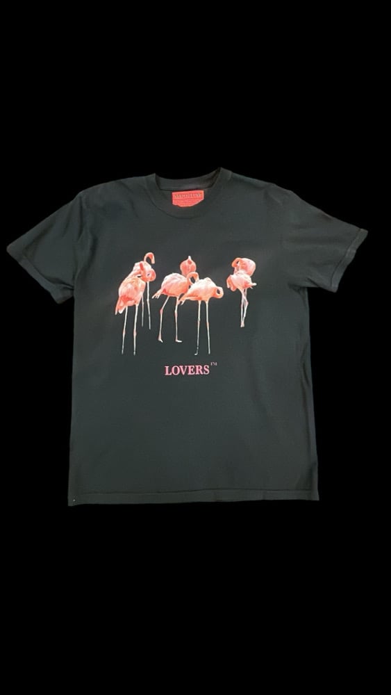  Flamingo Nights