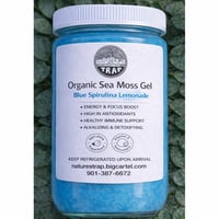 Organic Seamoss Gel Blue Spirulina Lemonade 16oz 