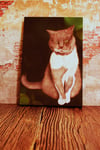 Commission Pet Portrait - Digital Portrait Printed on Canvas