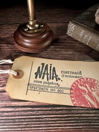 Image 5 of NAIA Preserved Specimen