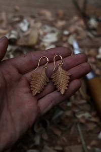 Image 2 of Woodland Fern Leaf Earrings 
