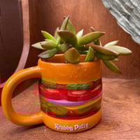 Image 1 of Coppertone Stonecrop in Krabby Patty Mug