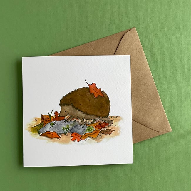 Autumn Hedgehog 