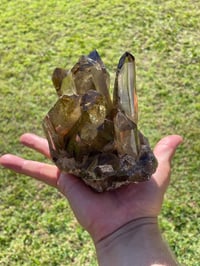 Image 25 of Smoky Citrine Points Cluster #1876