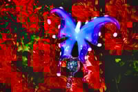 Image 3 of Butterfly