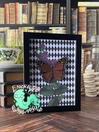 Image 1 of Faux Entomology Mounts - Monarch Butterfly